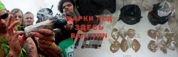 гашик Балахна